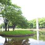 代々木公園