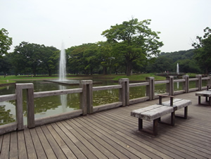 代々木公園