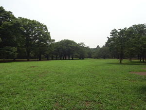 代々木公園